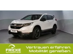 Wit Gebruikt 2022 Honda CR-V Hybrid SUV | € 35.619 (Eerlijke prijs)