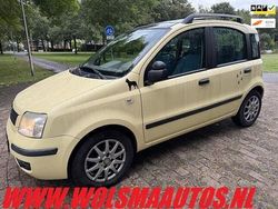 Geel Gebruikt 2005 Fiat Panda Hatchback | € 1.250 (Goede deal)