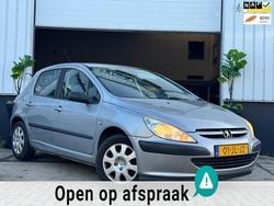 Grijs Gebruikt 2002 Peugeot 307 Hatchback | € 1.499 (Eerlijke prijs)