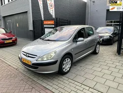 Grijs, metallic lak Gebruikt 2002 Peugeot 307 Hatchback | € 999 (Eerlijke prijs)