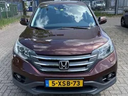 Bruin Gebruikt 2014 Honda CR-V Elegance SUV | € 14.700 (Duur)