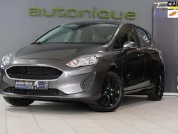 Grijs Gebruikt 2019 Ford Fiesta Trend Hatchback | € 9.995 (Super prijs)