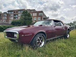 Bruin Gebruikt 1967 Pontiac Firebird Cabriolet | € 39.950