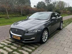 Grijs Gebruikt 2018 Jaguar XJ Premium Luxury Sedan | € 26.000