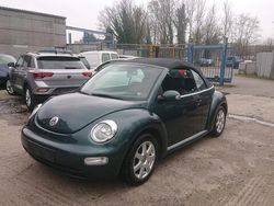 Groen Gebruikt 2003 VW Beetle Cabriolet | € 4.750 (Duur)