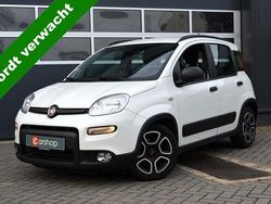 Overige Gebruikt 2021 Fiat Panda Easy Hatchback | € 12.500