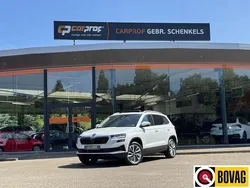 Wit Gebruikt 2024 Skoda Karoq Business Line SUV | € 38.495 (Eerlijke prijs)