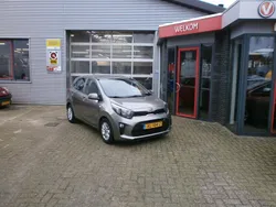 Grijs Gebruikt 2019 Kia Picanto Hatchback | € 8.750 (Eerlijke prijs)