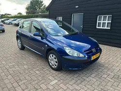 Blauw Gebruikt 2004 Peugeot 307 Hatchback | € 1.600 (Eerlijke prijs)