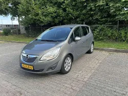 Bruin Gebruikt 2012 Opel Meriva Cosmo MPV | € 2.850 (Eerlijke prijs)