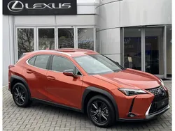 Oranje Gebruikt 2023 Lexus UX Luxury Line SUV | € 36.900 (Super prijs)