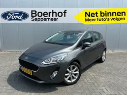 Grijs Gebruikt 2017 Ford Fiesta Trend Hatchback | € 10.450 (Iets duurder)