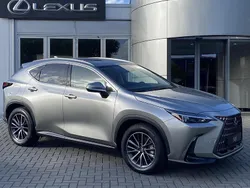 Overig Gebruikt 2023 Lexus NX450h+ Luxury Line SUV | € 52.700 (Goede deal)
