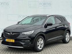 Zwart Gebruikt 2020 Opel Grandland X Business SUV | € 17.900 (Goede deal)