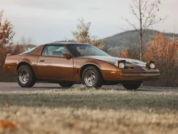 Bruin Gebruikt 1986 Pontiac Firebird Cabriolet | € 7.750