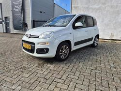 Wit Gebruikt 2014 Fiat Panda Hatchback | € 7.995 (Eerlijke prijs)