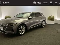 Grijs Gebruikt 2022 Audi e-tron Advanced SUV | € 39.950 (Super prijs)