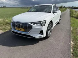 Wit Gebruikt 2019 Audi e-tron SUV | € 29.999 (Iets duurder)