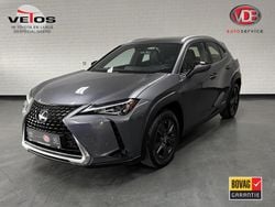 Grijs Gebruikt 2019 Lexus UX 250h Business Edition SUV | € 24.450 (Eerlijke prijs)
