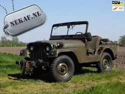 Groen Gebruikt 1958 Jeep Willys | € 19.999