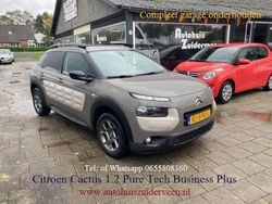 Grijs Gebruikt 2015 Citroën C4 Cactus Business Class Hatchback | € 6.999 (Goede deal)
