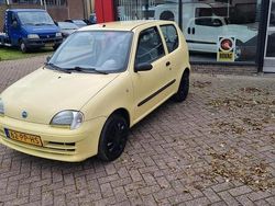 Geel Gebruikt 2004 Fiat Seicento Active Hatchback | € 1.475 (Eerlijke prijs)
