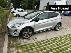 Grijs Gebruikt 2018 Ford Fiesta Active Hatchback | € 13.795 (Eerlijke prijs)