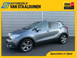 Grijs Gebruikt 2015 Opel Mokka Cosmo SUV | € 13.850 (Eerlijke prijs)