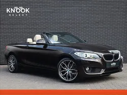 Bruin Gebruikt 2016 BMW 218 Executive Cabriolet | € 20.945 (Iets duurder)