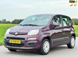 Paars Gebruikt 2014 Fiat Panda Hatchback | € 4.995 (Super prijs)