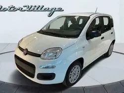 Wit Gebruikt 2020 Fiat Panda Easy Hatchback | € 10.200 (Eerlijke prijs)