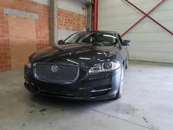Grijs Gebruikt 2011 Jaguar XJL Sedan | € 24.900