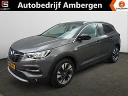 Grijs Gebruikt 2021 Opel Grandland X Innovation SUV | € 19.950 (Goede deal)