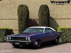Paars Gebruikt 1970 Dodge Challenger Coupé | € 175.000