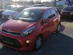 Rood Gebruikt 2020 Kia Picanto Hatchback | € 13.950 (Eerlijke prijs)