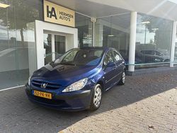 Blauw Gebruikt 2004 Peugeot 307 Hatchback | € 1.495 (Eerlijke prijs)