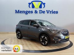 Grijs Gebruikt 2020 Opel Grandland X Innovation SUV | € 16.995 (Eerlijke prijs)