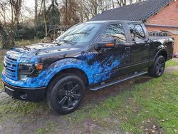 Zwart Gebruikt 2015 Ford F-150 Pickup | € 24.950 (Goede deal)