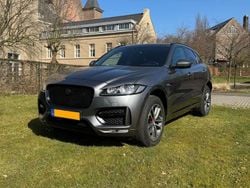 Grijs Gebruikt 2018 Jaguar F-Pace R SUV | € 34.450 (Eerlijke prijs)