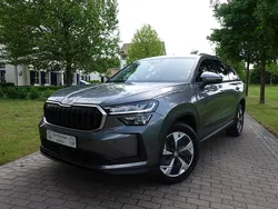 Grijs Gebruikt 2025 Skoda Kodiaq Business Line SUV | € 48.450 (Eerlijke prijs)