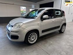 Grijs Gebruikt 2013 Fiat Panda Hatchback | € 3.499 (Eerlijke prijs)