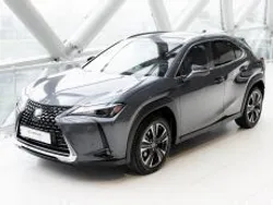 Grijs metallic Gebruikt 2024 Lexus UX 300e Business Edition SUV | € 43.450