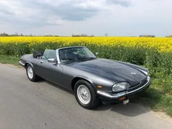 Overige Gebruikt 1990 Jaguar XJS S Cabriolet | € 32.500