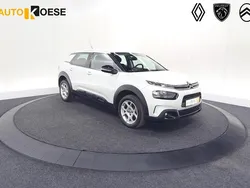Wit Gebruikt 2019 Citroën C4 Cactus Business Class Hatchback | € 13.295 (Eerlijke prijs)