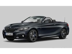 Grijs Gebruikt 2019 BMW 220 Executive Cabriolet | € 28.880 (Iets duurder)