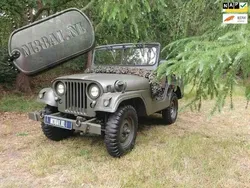 Groen Gebruikt 1955 Jeep Willys | € 19.999