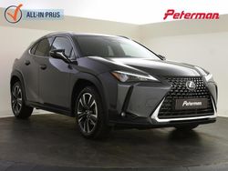Grijs Gebruikt 2025 Lexus UX 300e Business Edition SUV | € 43.899
