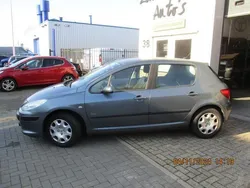 Grijs Gebruikt 2007 Peugeot 307 Hatchback | € 1.500 (Eerlijke prijs)
