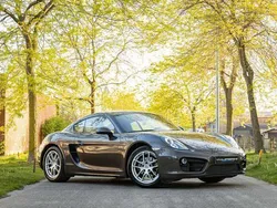 Bruin Gebruikt 2015 Porsche Cayman Coupé | € 49.995
