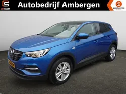Blauw Gebruikt 2020 Opel Grandland X Edition+ SUV | € 18.950 (Eerlijke prijs)